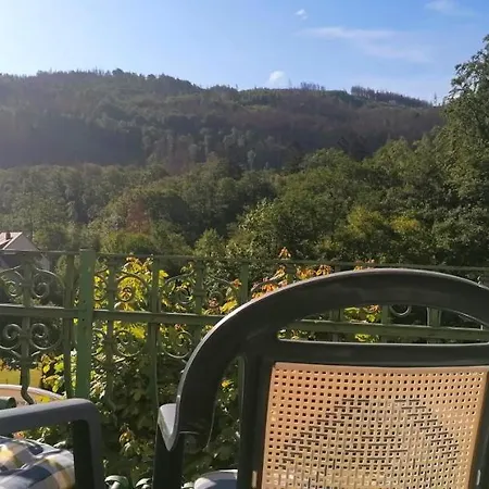 מלון Waldhaus Im Okertal גוסלר