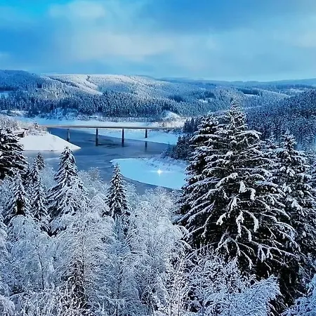 Waldhaus Im Okertal فندق جوسلار