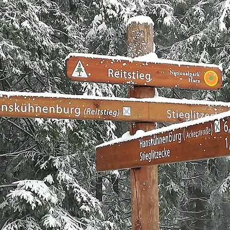 Waldhaus Im Okertal Hotel *