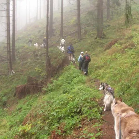 Waldhaus Im Okertal *