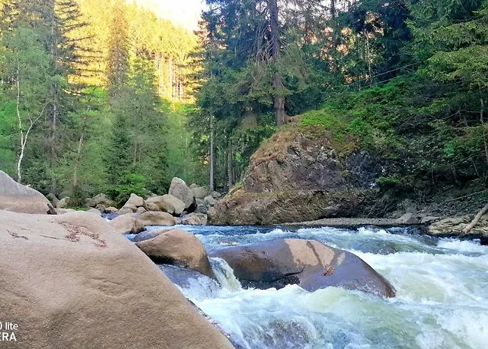 Hotell Waldhaus Im Okertal Goslar