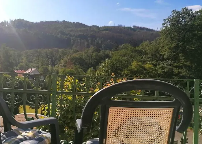 Hotell Waldhaus Im Okertal Goslar