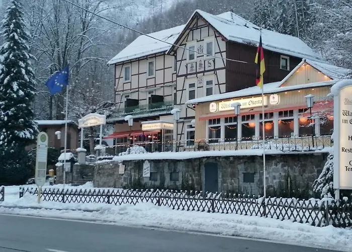 Hotell Waldhaus Im Okertal Goslar