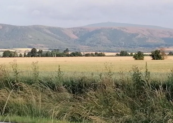 Hotell Waldhaus Im Okertal *