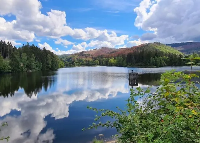 Hotell Waldhaus Im Okertal Goslar