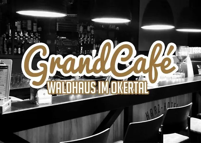 Waldhaus Im Okertal Goslar