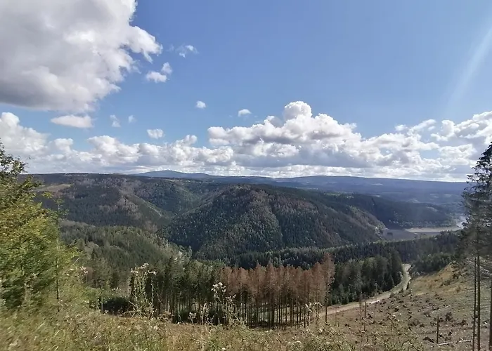 Hotell Waldhaus Im Okertal