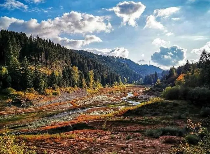 Waldhaus Im Okertal Hotell