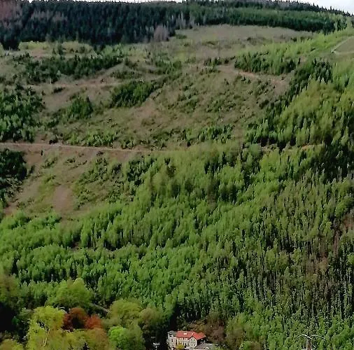 Waldhaus Im Okertal Goslar