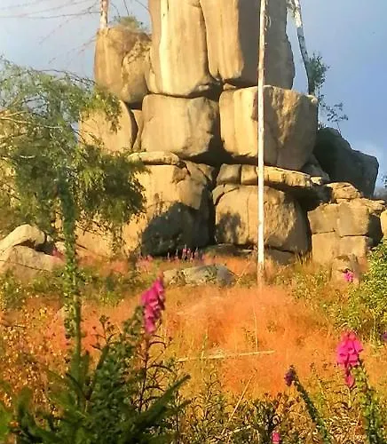 Hotell Waldhaus Im Okertal