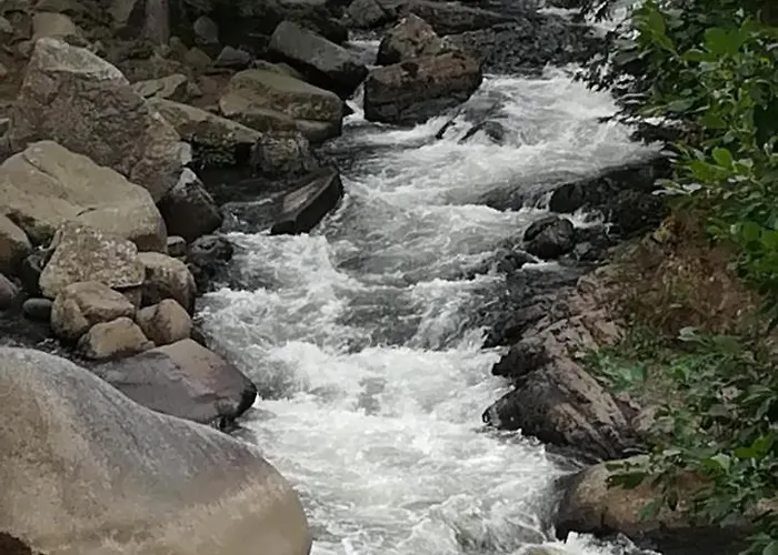 Hotell Waldhaus Im Okertal Goslar