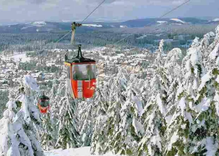 Waldhaus Im Okertal *