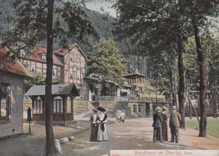 Hotell Waldhaus Im Okertal